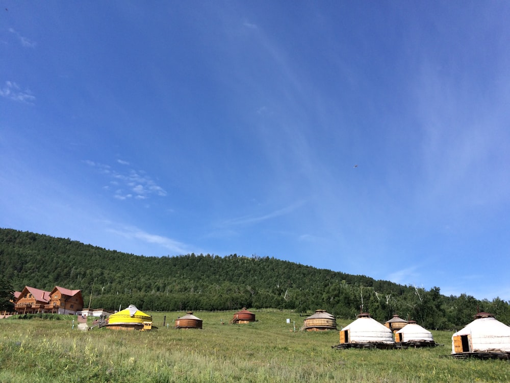 white tent on green grass field under blue sky during daytime