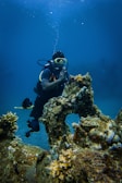 A scuba diver wearing a black diving suit and yellow goggles is underwater, surrounded by corals and colorful fish. The diver is positioned next to a large rock formation, which is covered in marine growth. Bubbles rise up from the diving equipment, and the background is a deep blue ocean.
