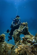 A scuba diver wearing a black diving suit and yellow goggles is underwater, surrounded by corals and colorful fish. The diver is positioned next to a large rock formation, which is covered in marine growth. Bubbles rise up from the diving equipment, and the background is a deep blue ocean.