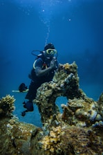 A scuba diver wearing a black diving suit and yellow goggles is underwater, surrounded by corals and colorful fish. The diver is positioned next to a large rock formation, which is covered in marine growth. Bubbles rise up from the diving equipment, and the background is a deep blue ocean.