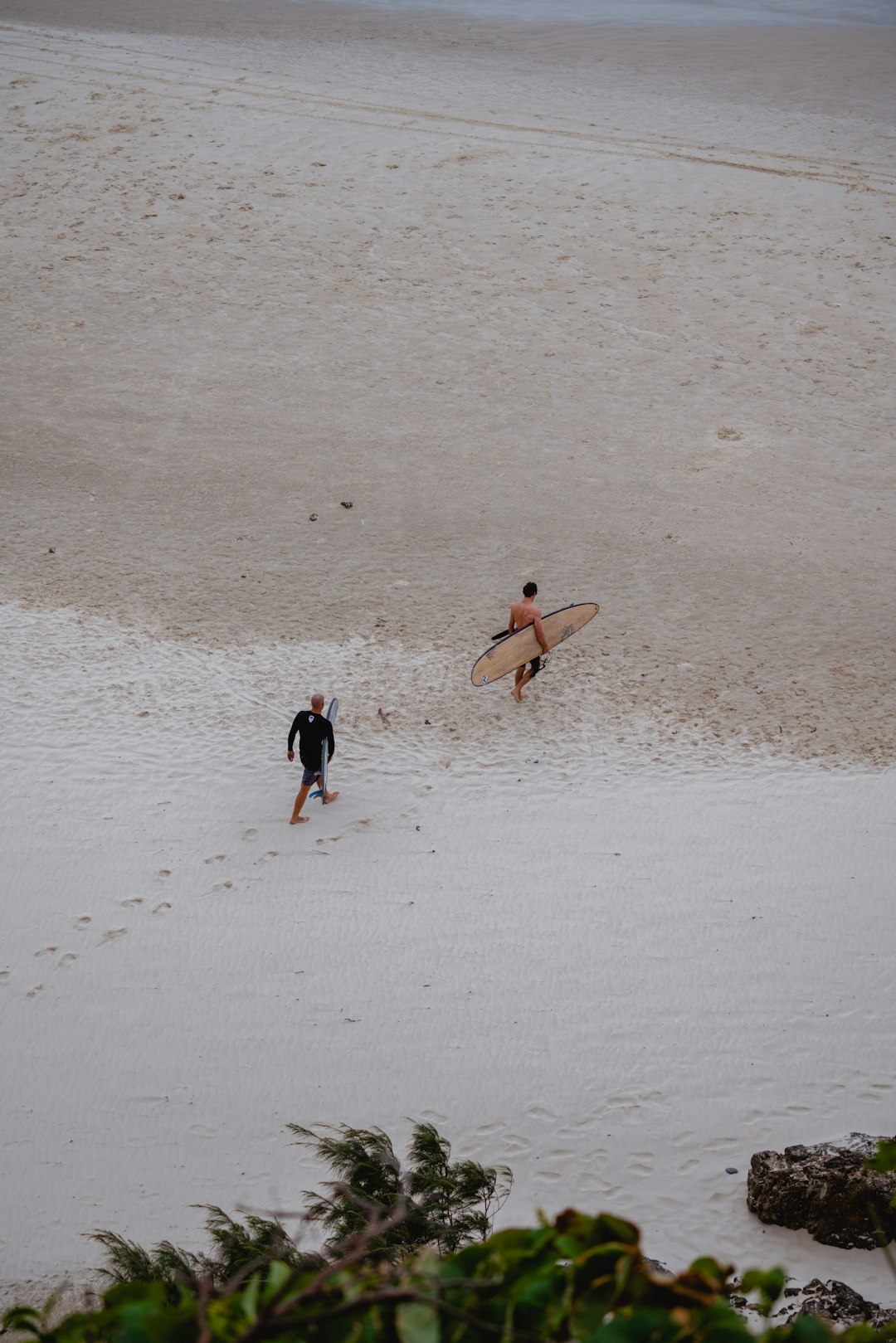 people walking on beach during daytime