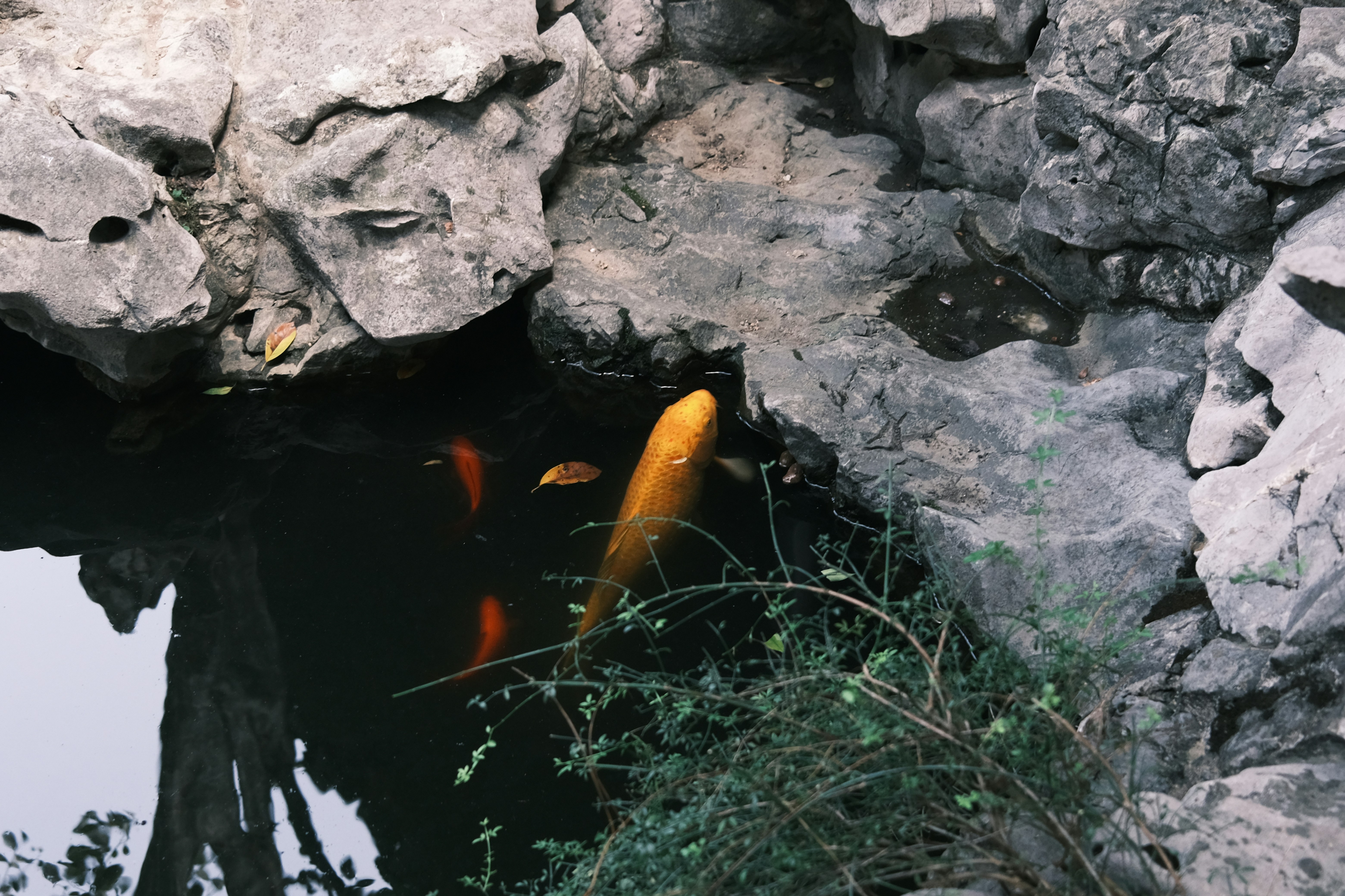 The Enduring Mystery of Life in the Dark (image credits: unsplash)