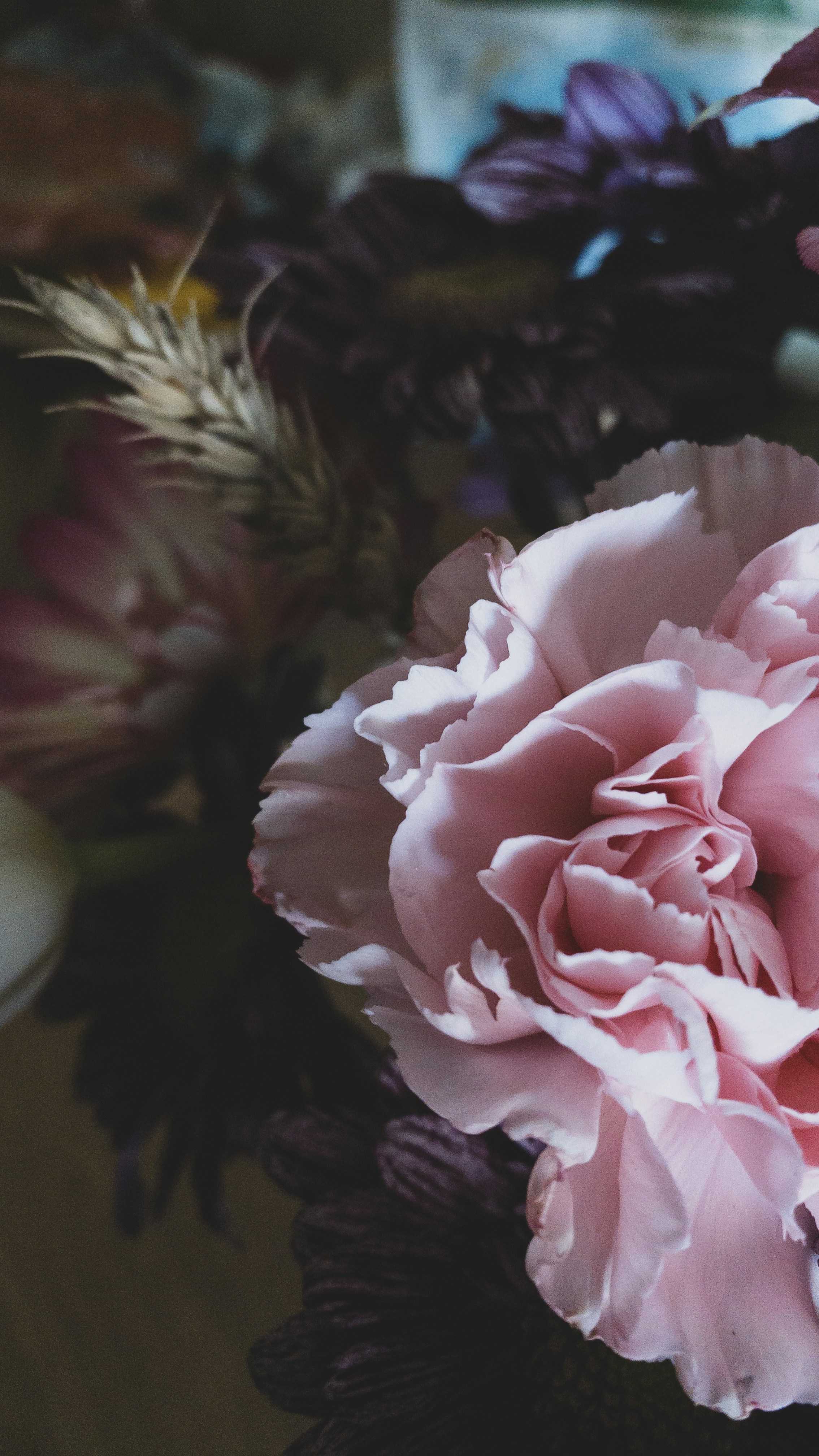 Photo by tsariovaanna