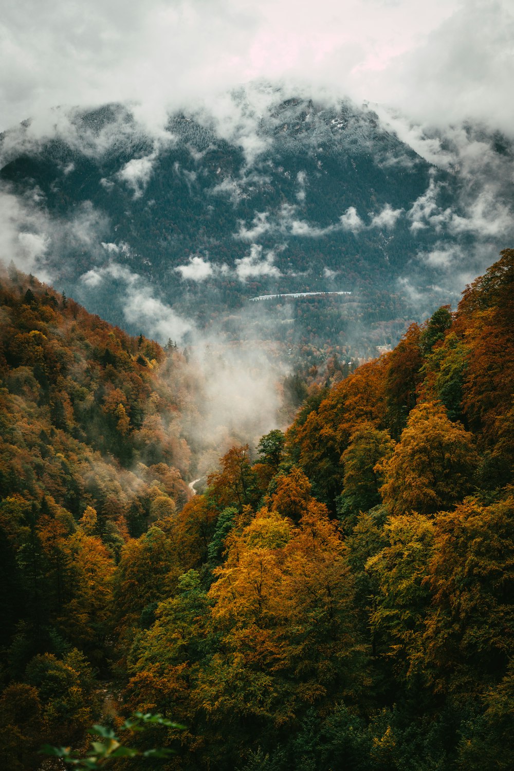 Grüne Bäume unter weißen Wolken und blauem Himmel tagsüber