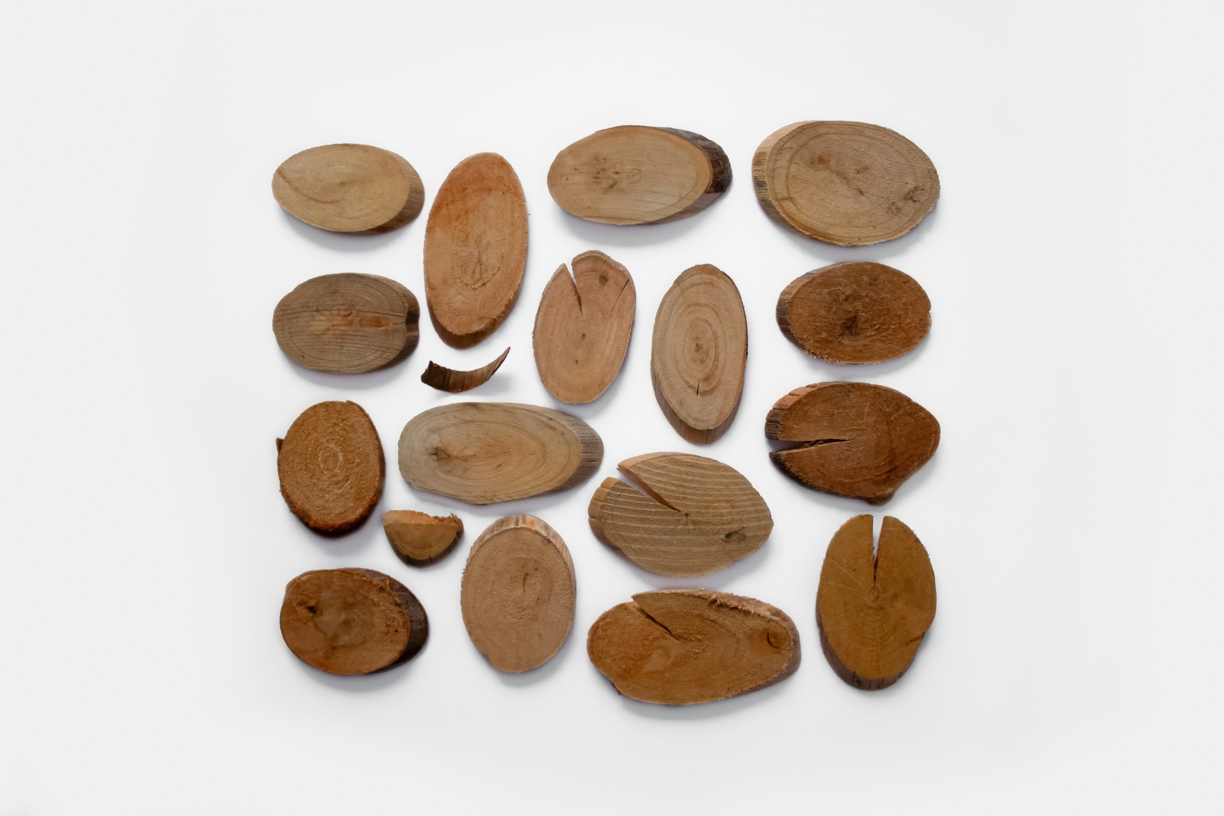 Beat the Heat: Easy Summer Meal Ideas & What to Plant Now for Fresh, Seasonal Produce — Bailey AI and EasyHome home management app