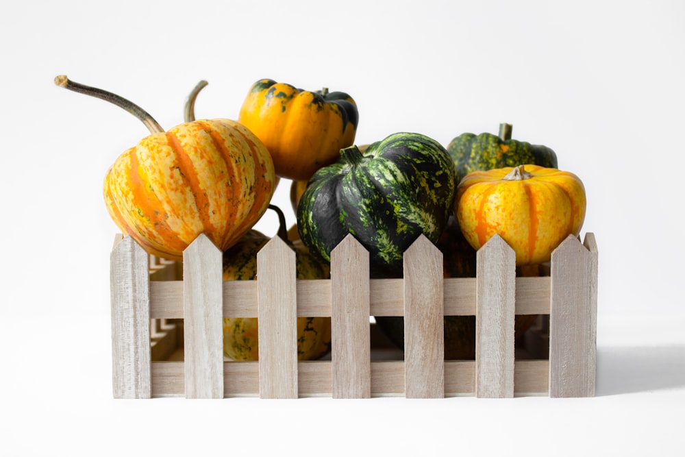 yellow and green pumpkin on white wooden fence