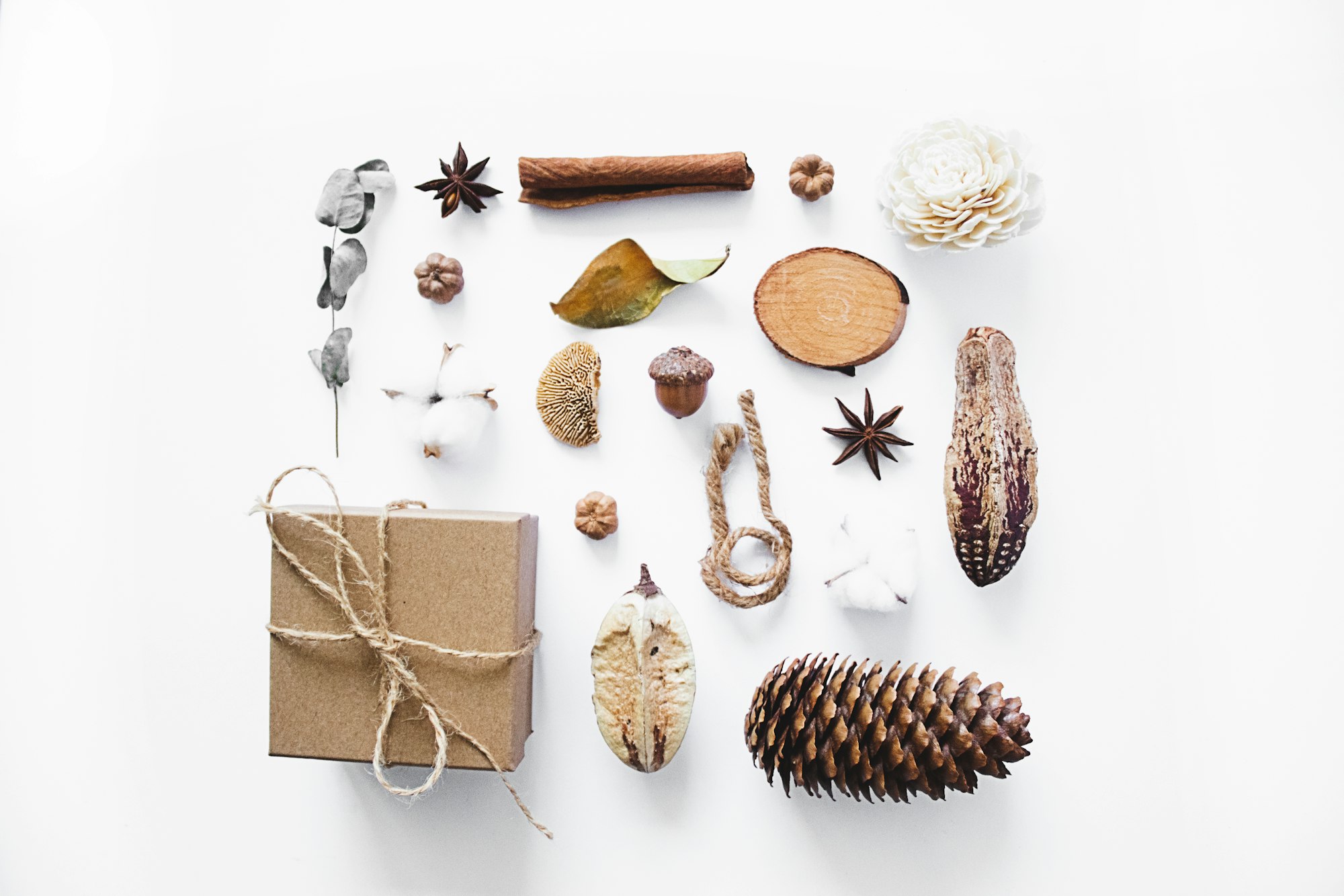 Dried autumn leaves, flowers, cotton bud, acorn, box and pinecone on white background