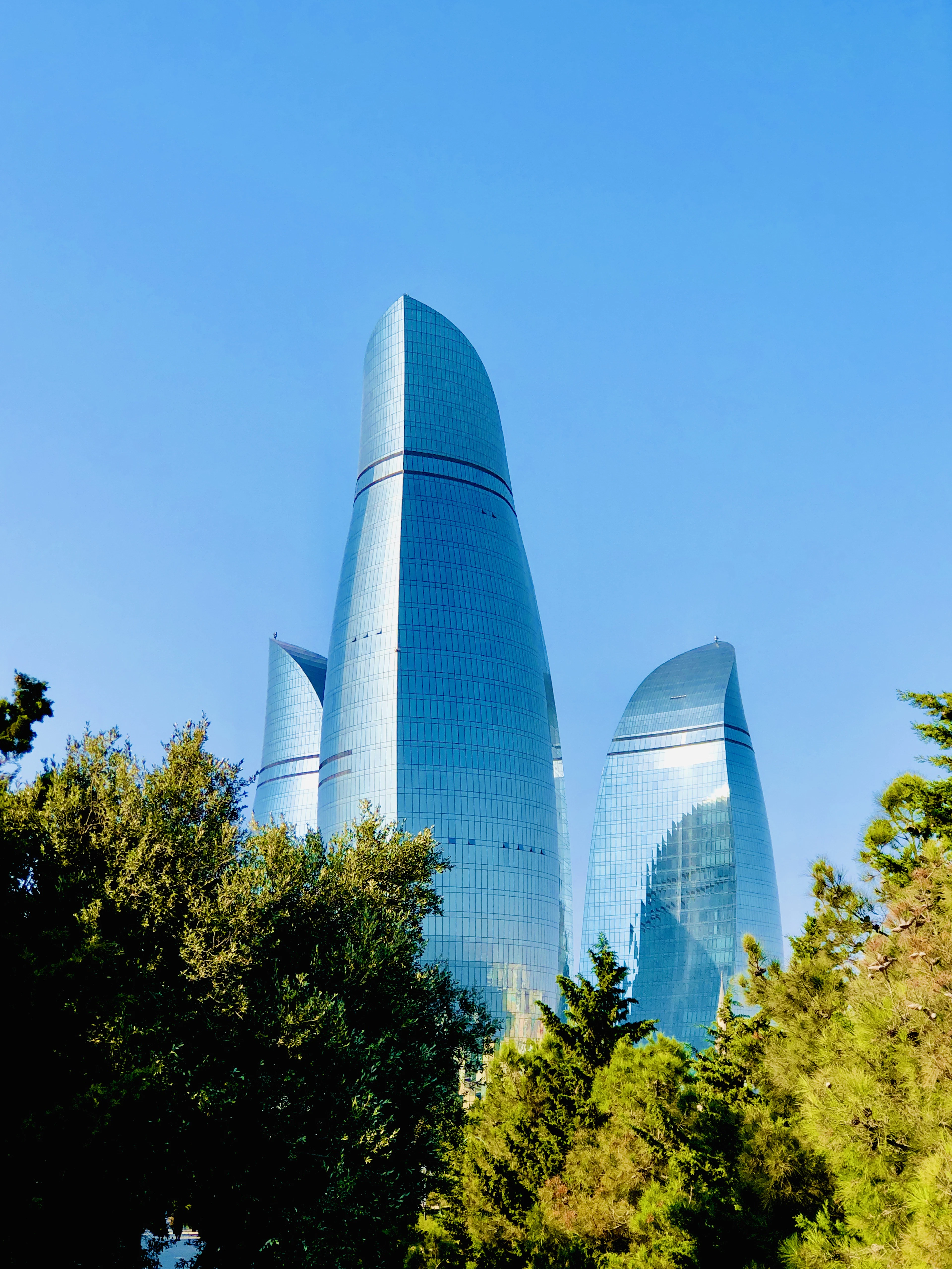 The curved glass Flame Towers of Baku rising above green trees against a clear blue sky