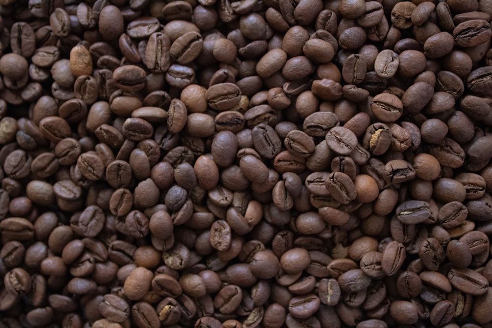 brown coffee beans on brown wooden surface