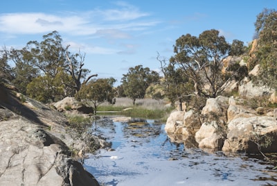 A serene landscape showcasing India's natural beauty.