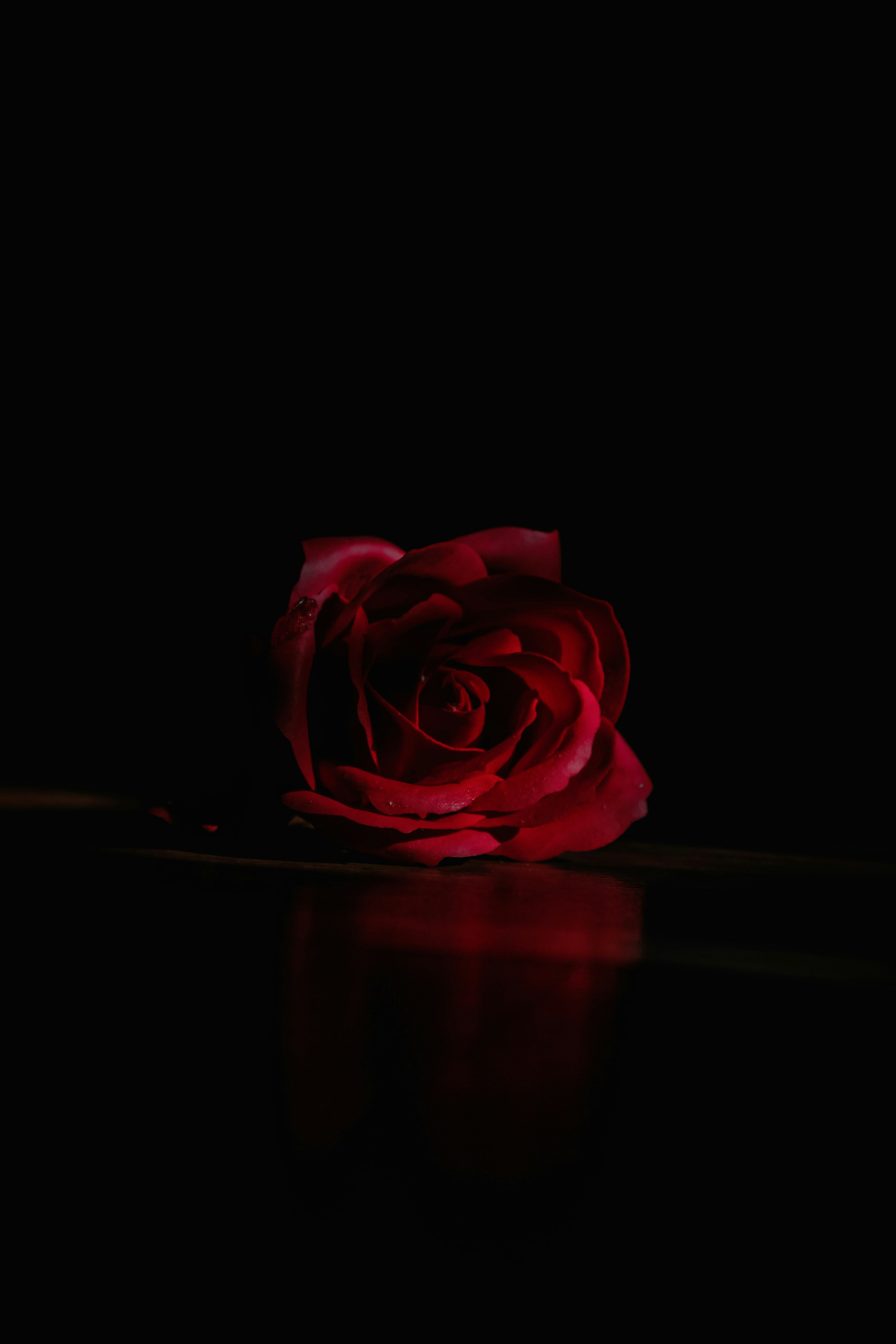 Photo by simonnguyen_