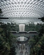 green trees and plants inside building