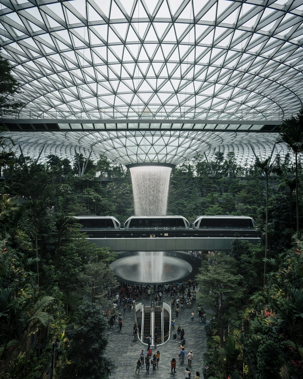 green trees and plants inside building