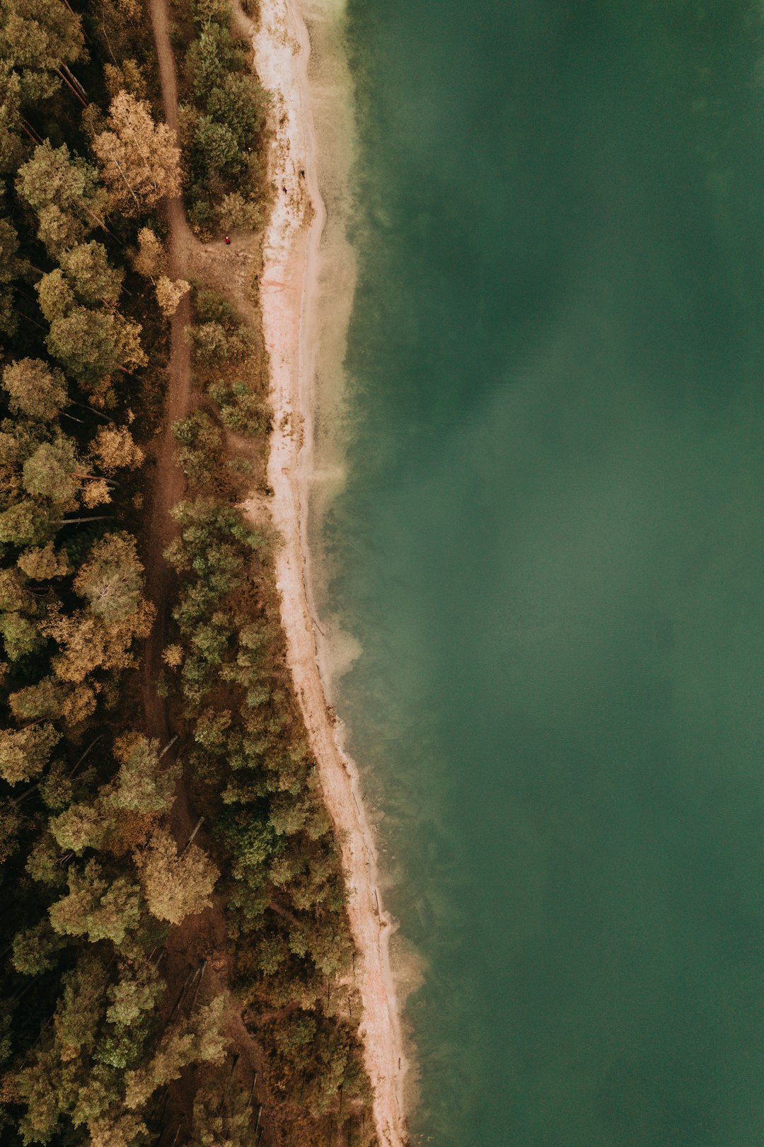 aerial view of green and brown land near body of water during daytime