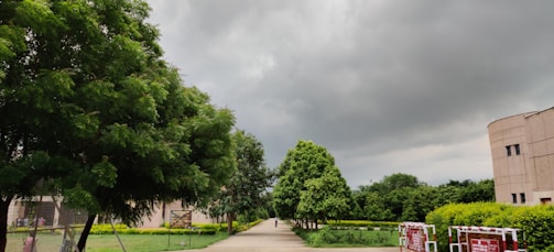 A pathway leading to various career signs.