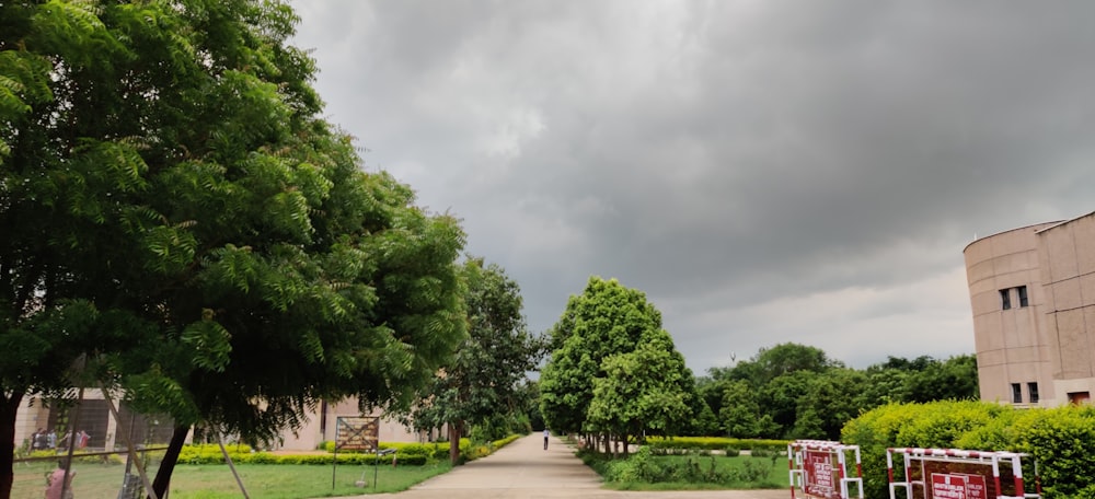 green trees on green grass field under white cloudy sky during daytime