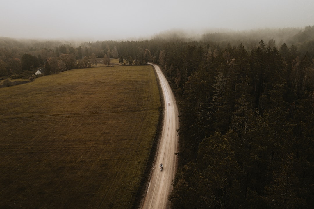 gray asphalt road between green trees during daytime