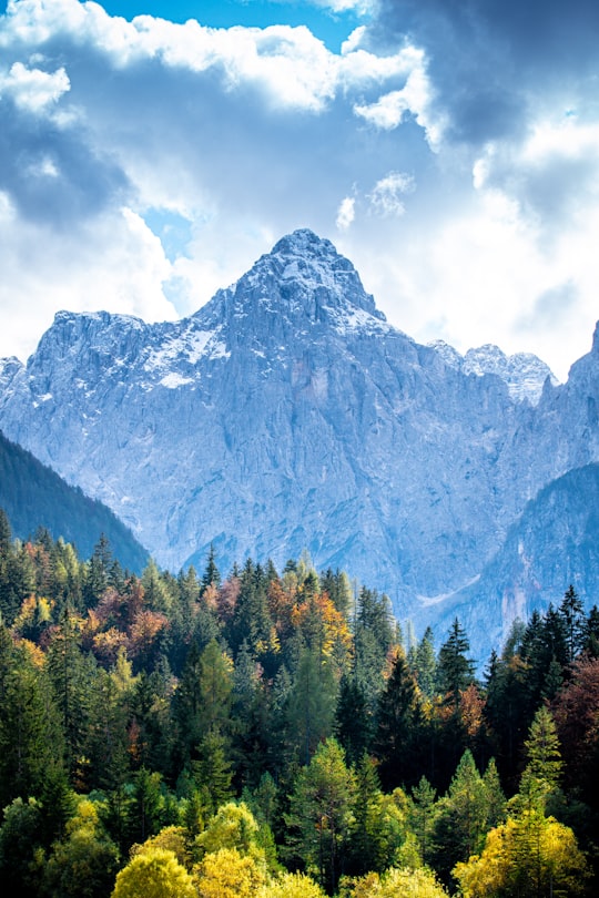 green trees near mountain under white clouds during daytime in Jezero Jasna Slovenia