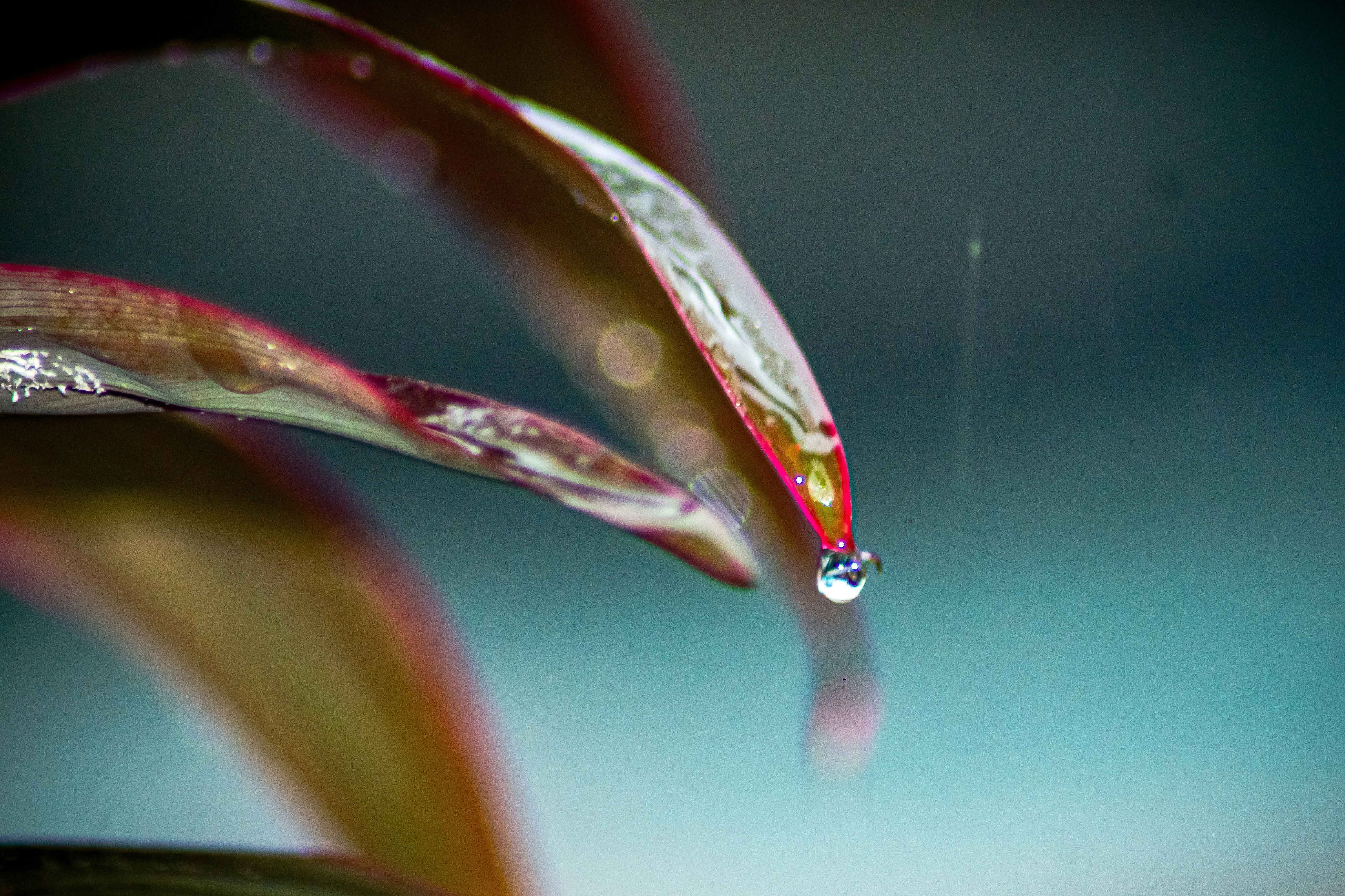 Photo by pixel_lenseart