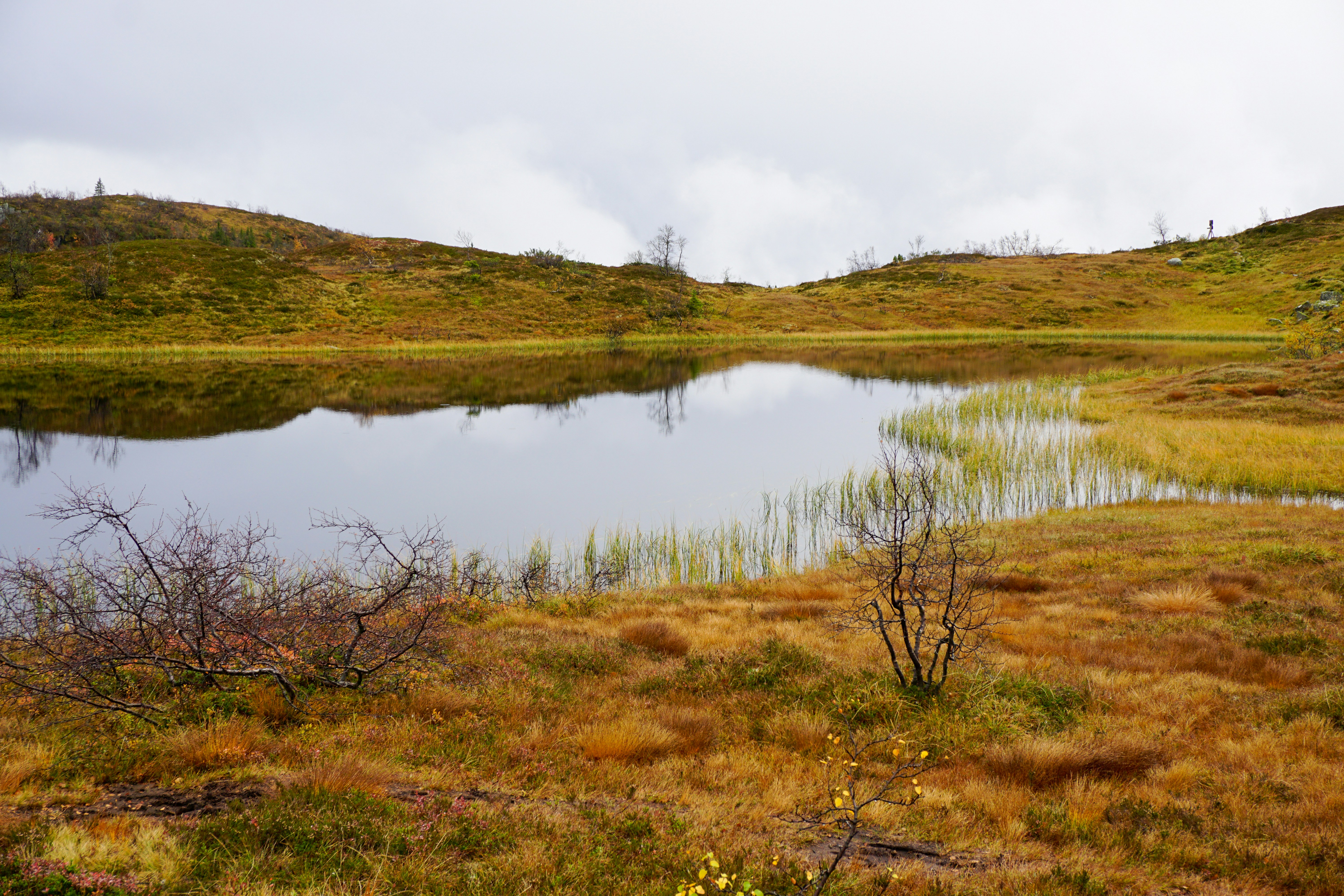 Photo by endrestedje