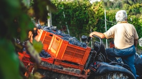 person riding on red and black ride on lawn mower during daytime