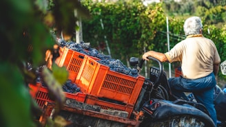 person riding on red and black ride on lawn mower during daytime