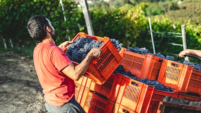 man in orange t-shirt holding black and white textile in orange plastic crate