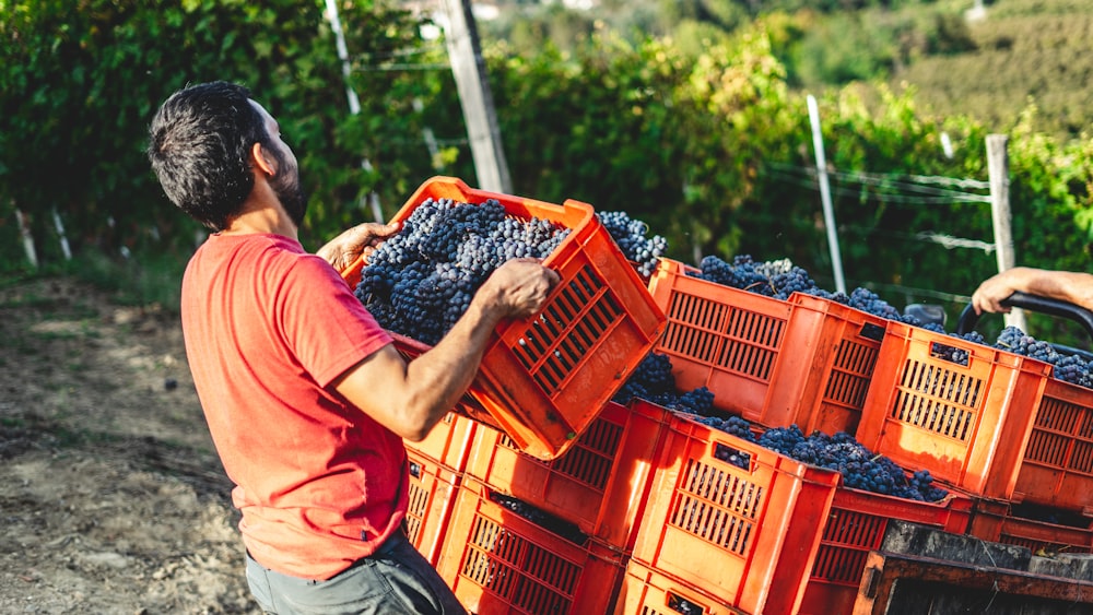 man in orange t-shirt holding black and white textile in orange plastic crate