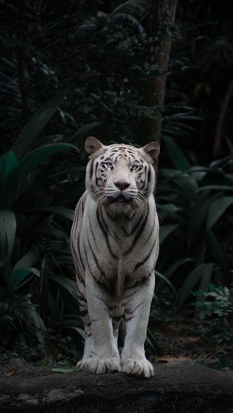 Jim Corbett Wildlife & Nature Camp — Student Tour photo 3