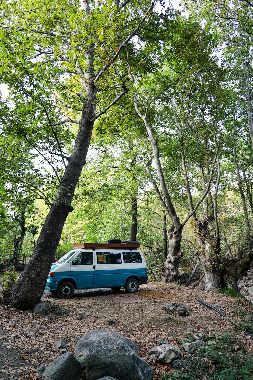 blue car parked under green trees during daytime