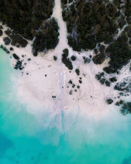 A serene aerial view of Trancoso beach with turquoise waters, golden sand, and lush green foliage.