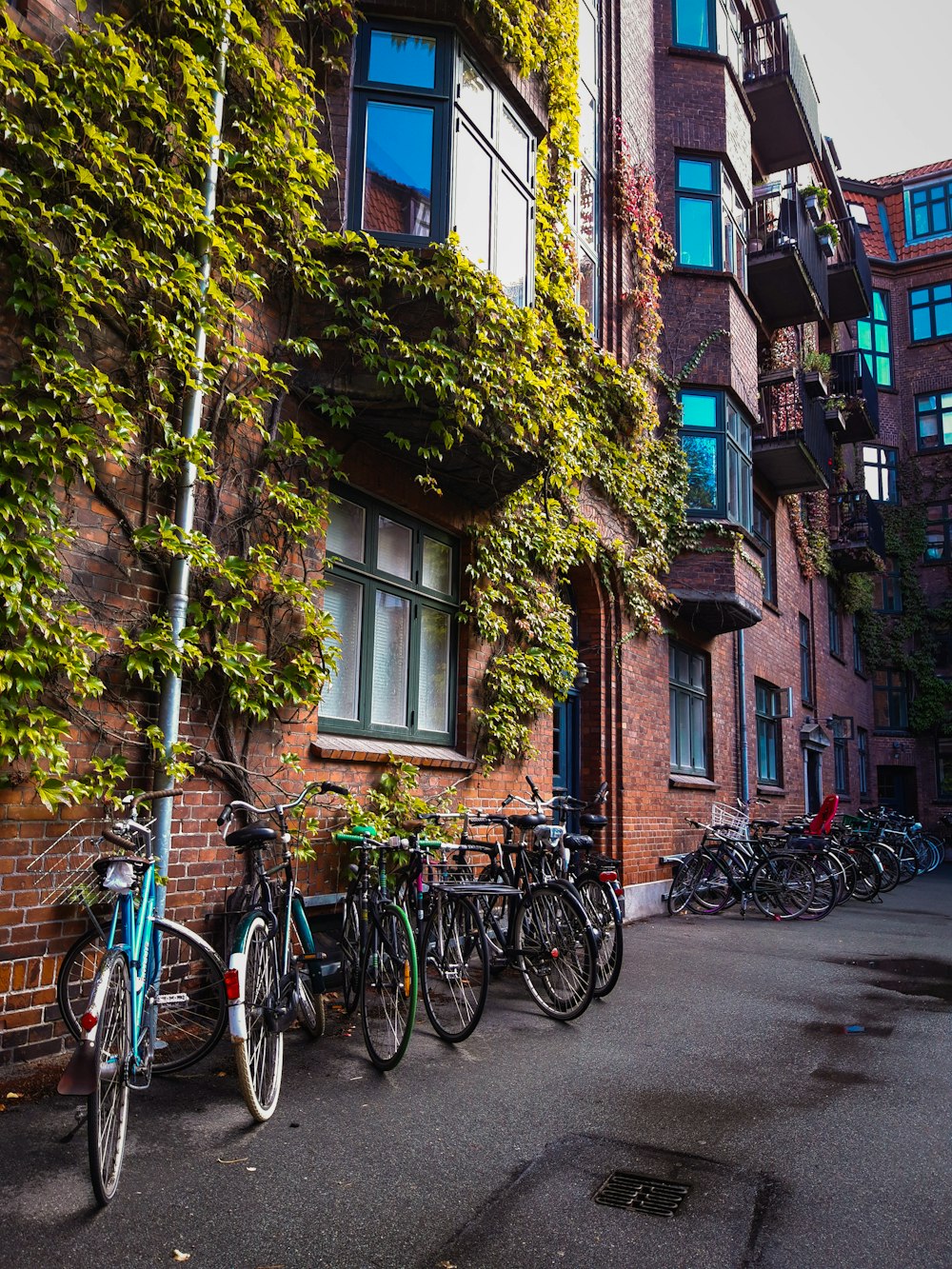 blue city bike parked beside green tree during daytime