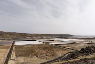 A vast landscape featuring rectangular salt pans bordered by low walls, situated on a flat plot of land with a barren, rocky terrain stretching into the distance. The sky is overcast, casting an evenly diffused light over the landscape.