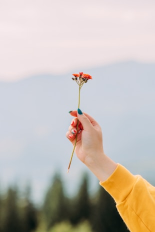Close-up of hands with beautifully painted nails holding a bouquet of flowers in a bright salon.