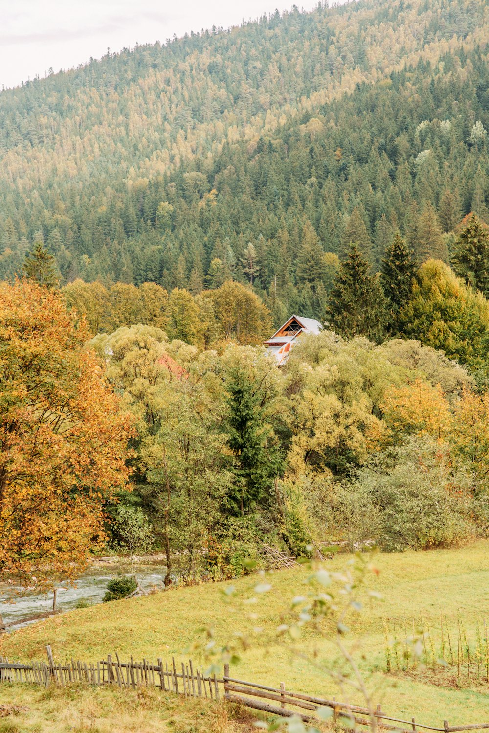 white and red house surrounded by green trees during daytime