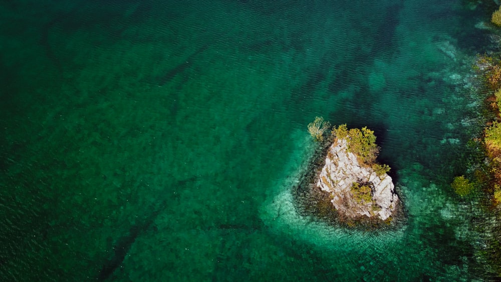 Luftaufnahme der grünen und braunen Insel mitten im Meer