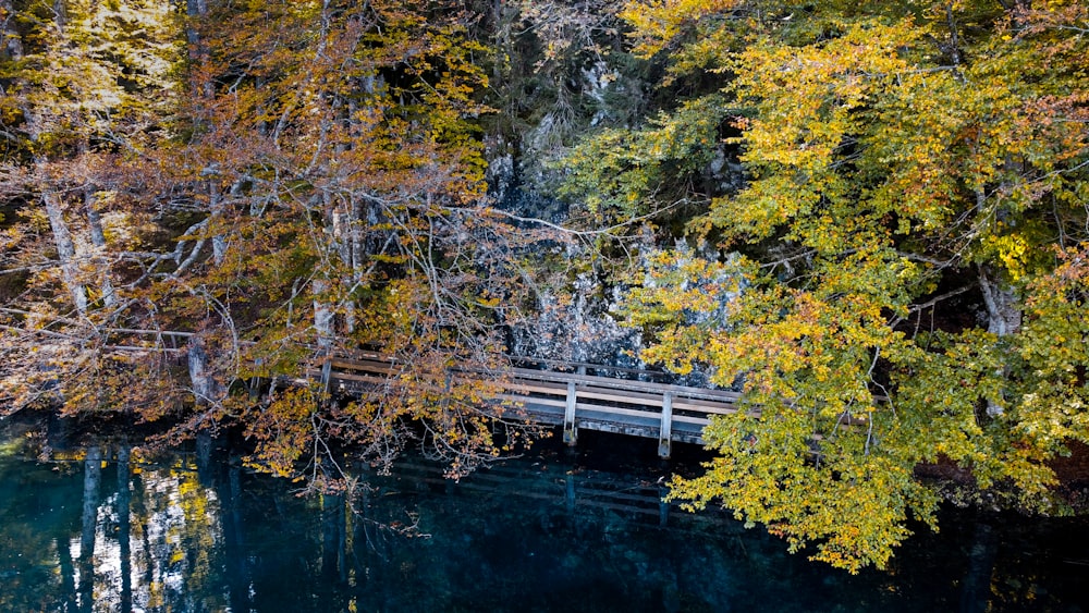 Pont en bois blanc sur la rivière entouré d’arbres