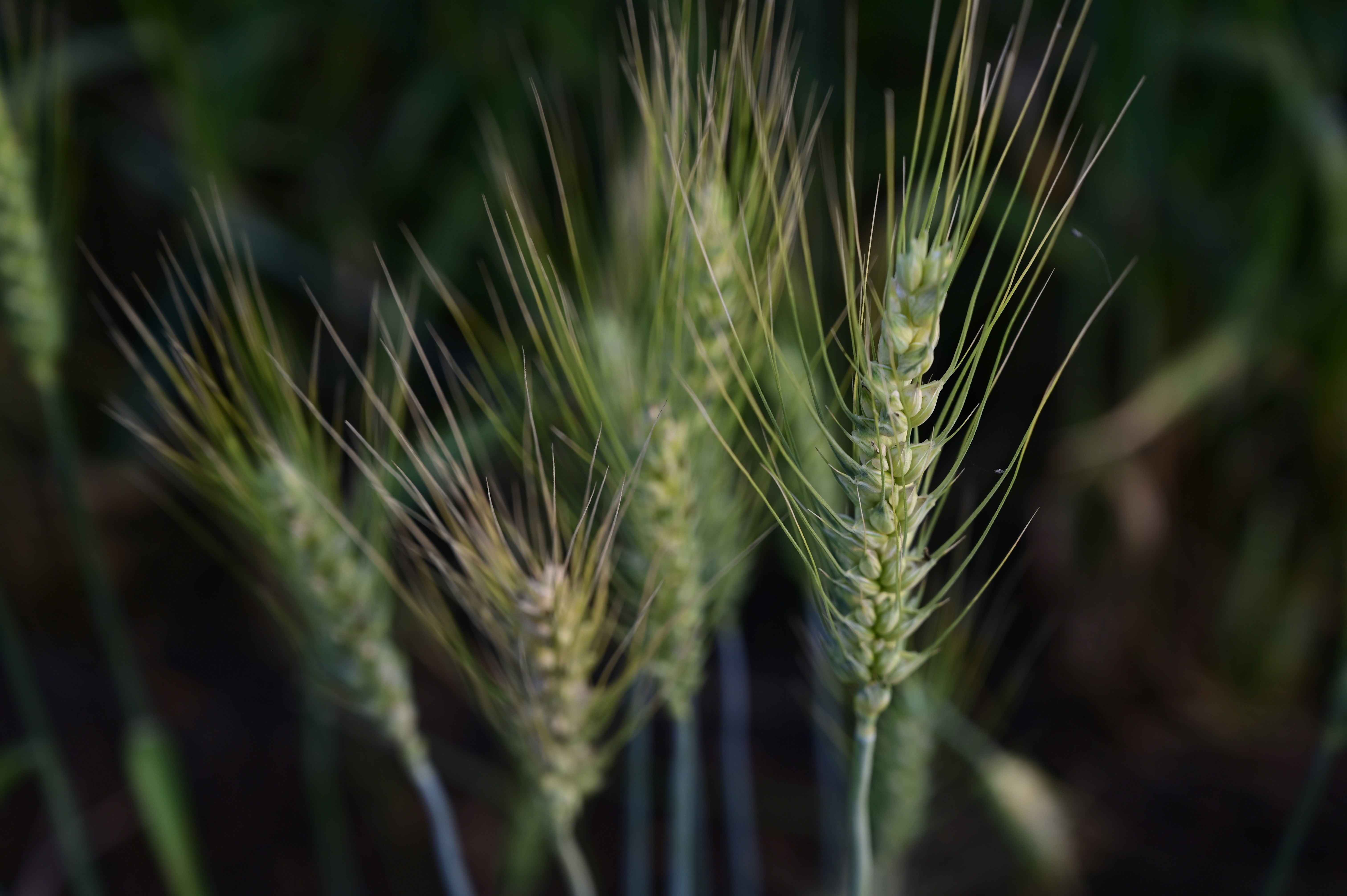 Photo by rrajputphotography