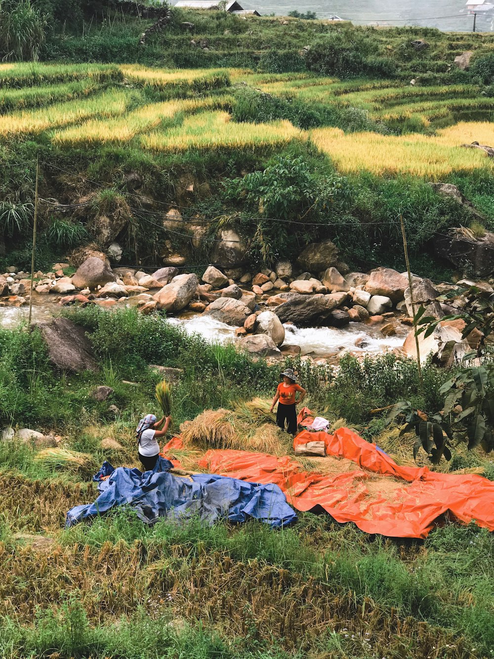 2 person lying on ground covered with green grass during daytime