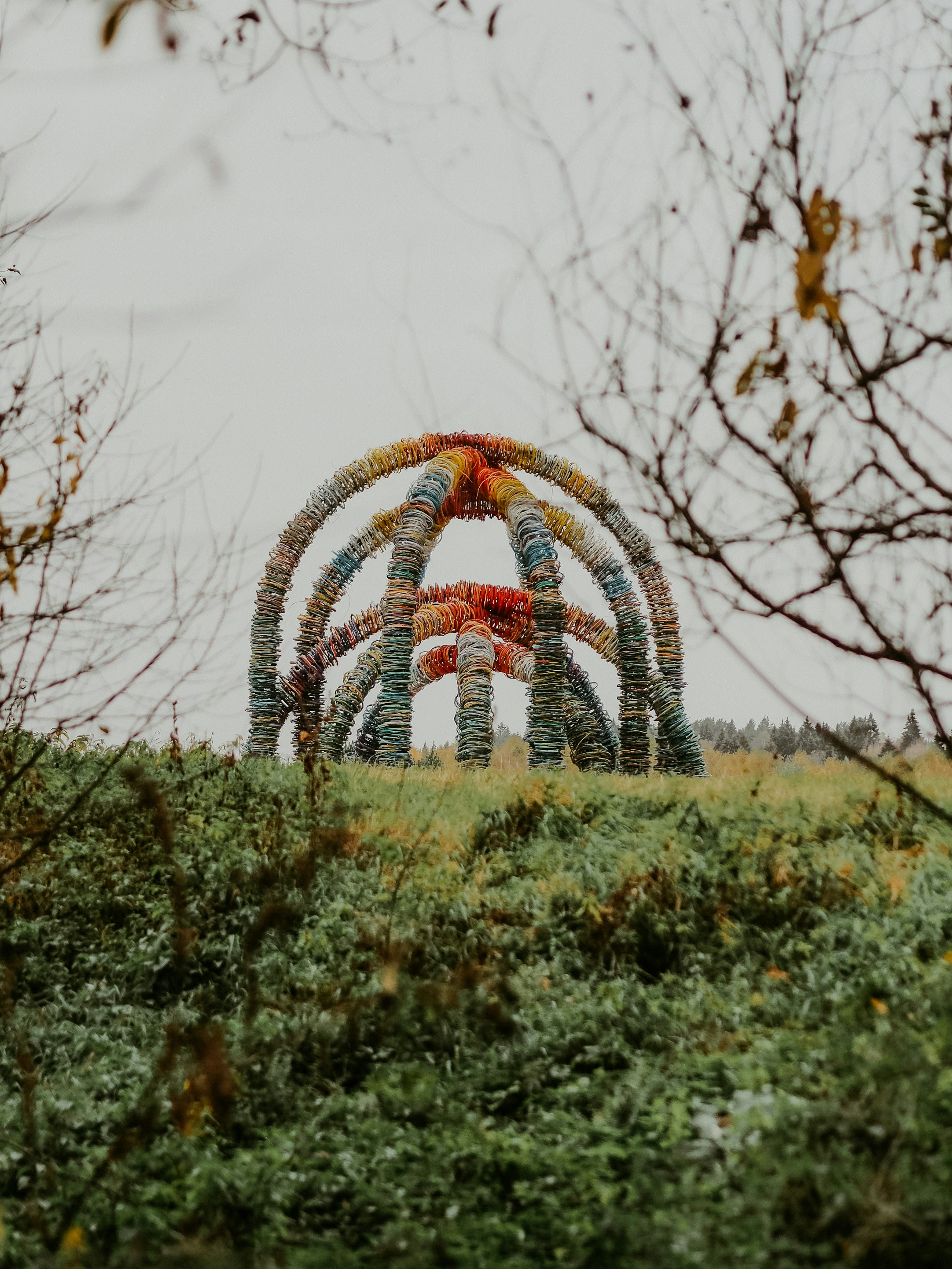 decoração redonda marrom e branca no campo de grama verde