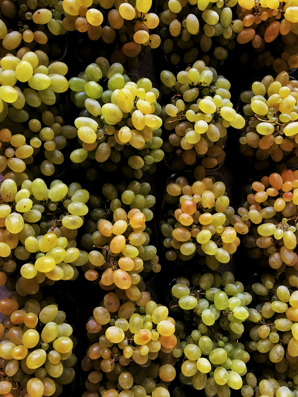 yellow round fruits on green grass