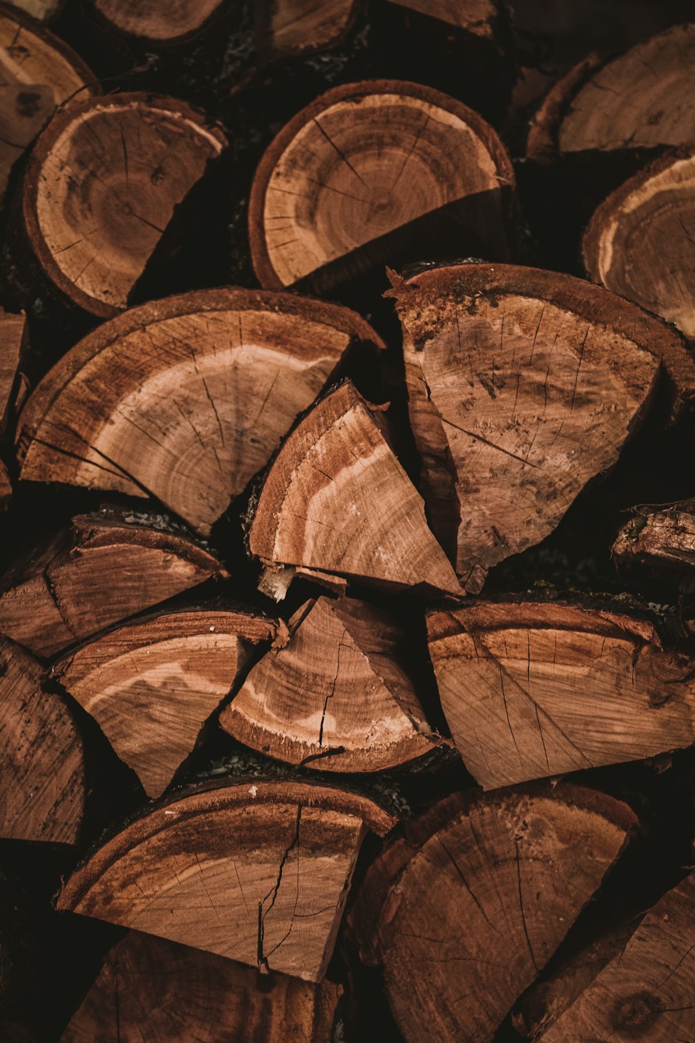 brown wooden log lot during daytime