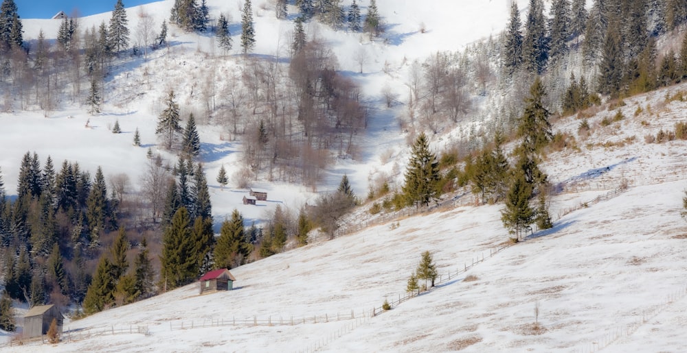 people walking on snow covered ground during daytime