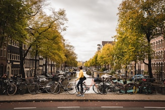 people riding bicycles on road during daytime