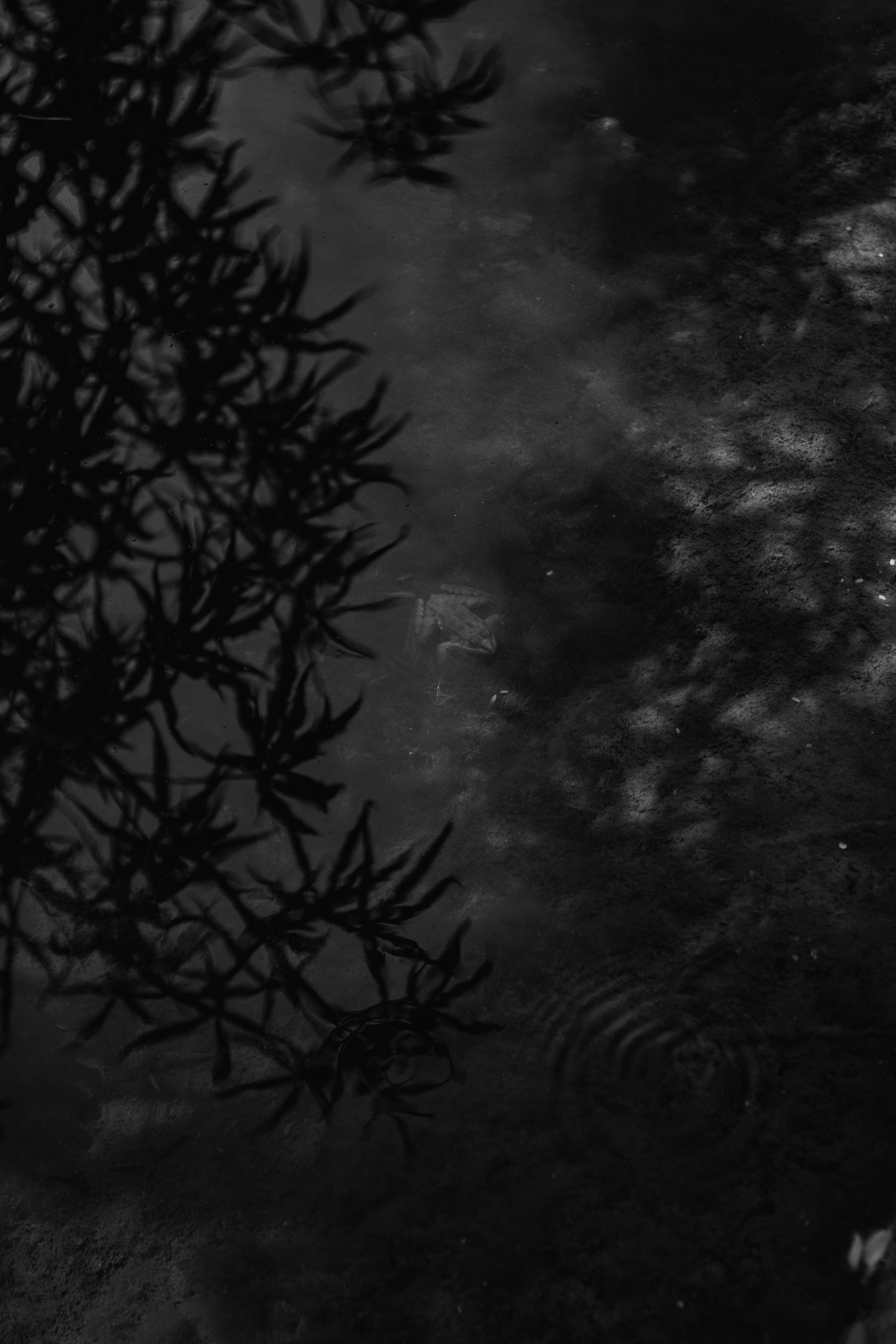 Photo by valentinlacoste