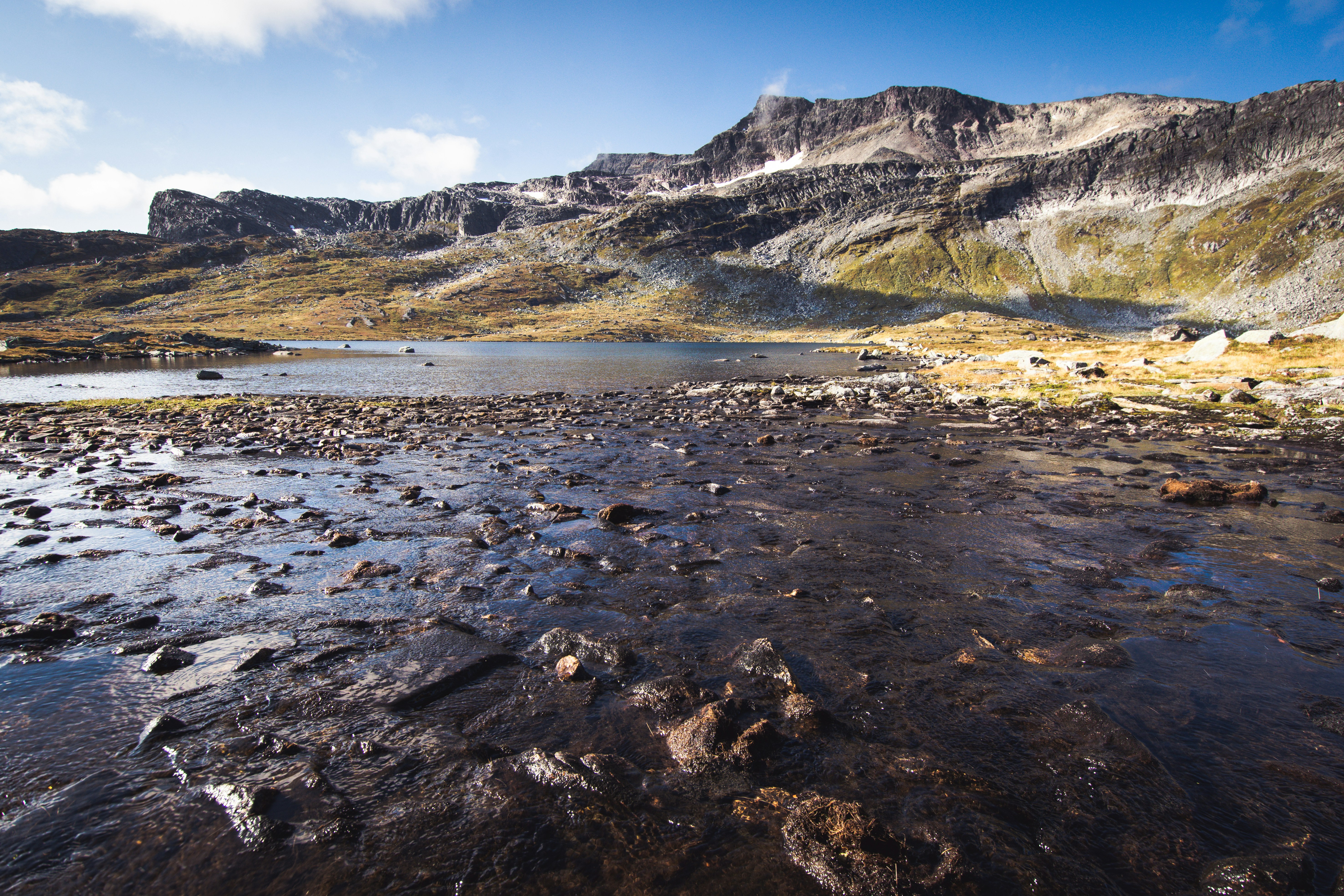 Photo by hasselossius