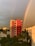 A vibrant rainbow arcs over an urban landscape, with a prominent red and white building in the foreground. Surrounding the main building, there is dense green foliage, palm trees, and other residential structures under a dynamic sky with cloud formations.