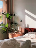 green plant on brown pot on table