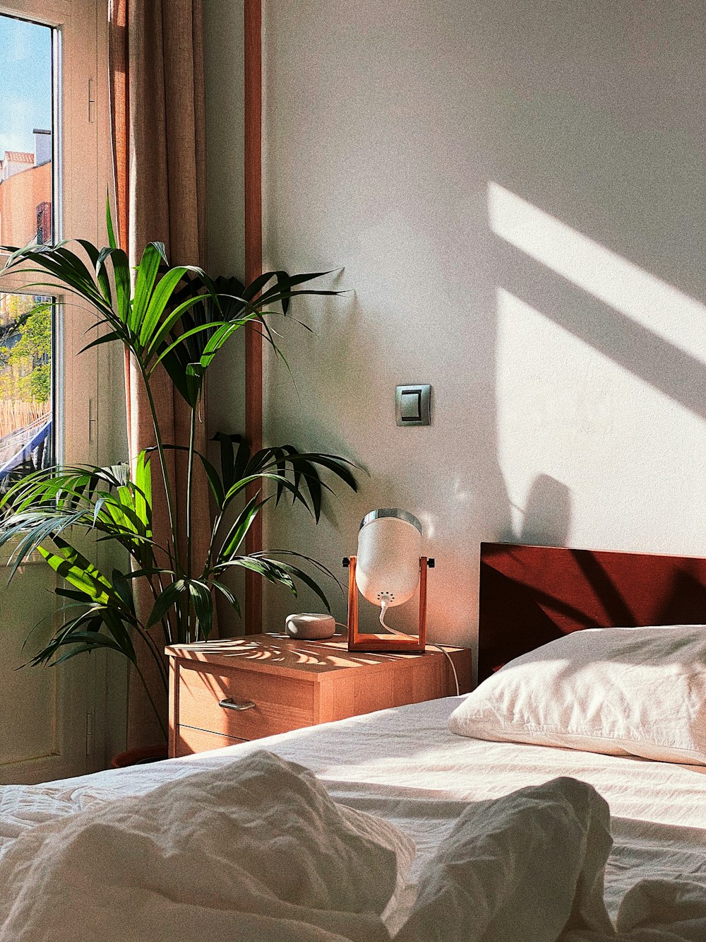 green plant on brown pot on table