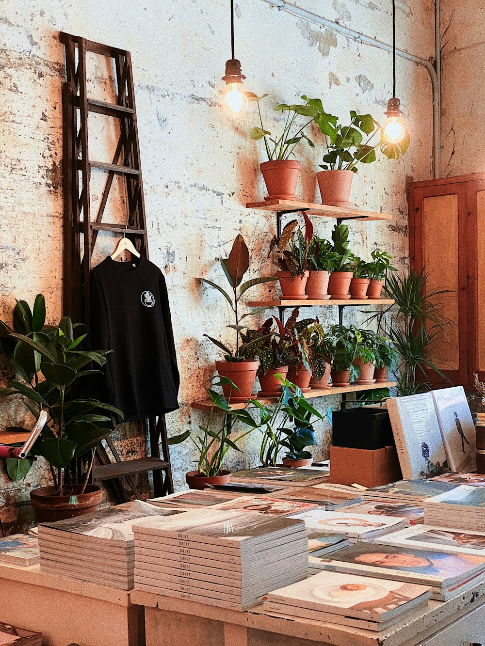 green potted plant on brown wooden table